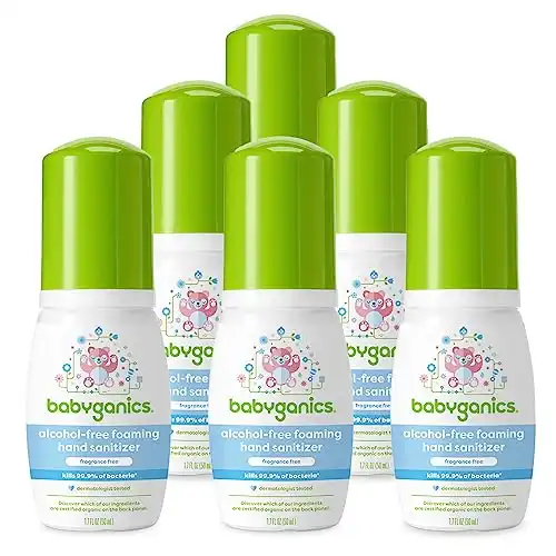 Babyganics Foaming Pump Hand Sanitizer, Alcohol Free, Travel Size, Fragrance Free, Kills 99.9% of Common Bacteria, Moisturizing, 1.69oz (Pack of 6)